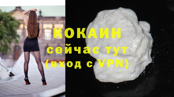 мдпв Верея