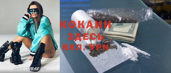 мдпв Верея