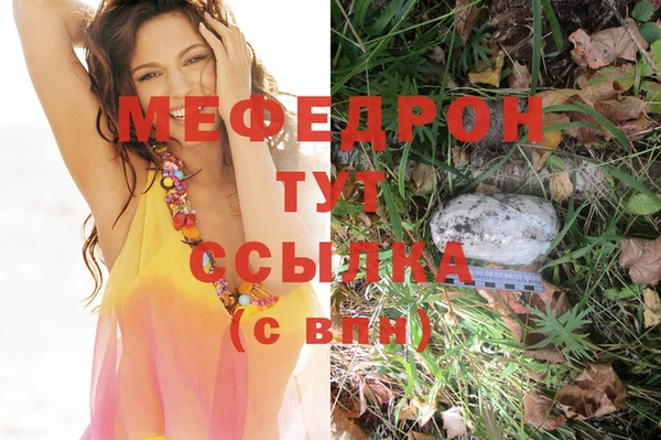 мдпв Верея