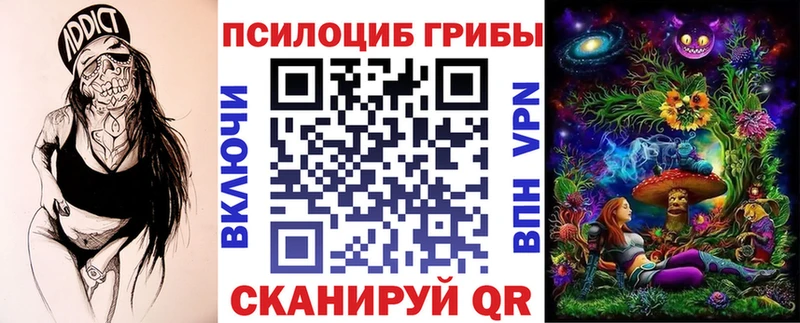 дарнет шоп  Северск  Галлюциногенные грибы Psilocybine cubensis 
